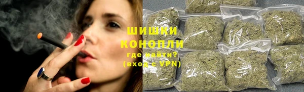 винт Рославль