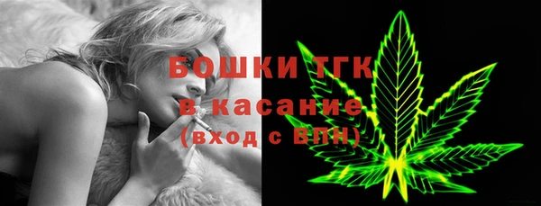 индика Белоозёрский