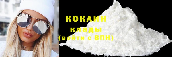 индика Белоозёрский