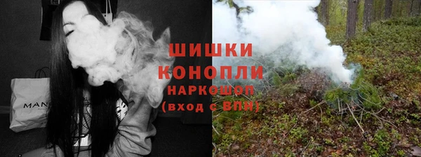 индика Белоозёрский