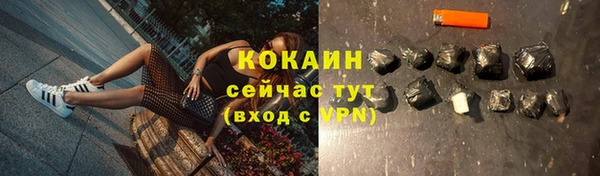 индика Белоозёрский